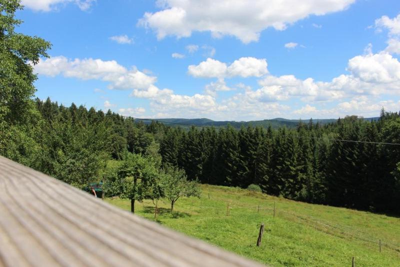 Sigmundenhof Apartment Schonach im Schwarzwald Luaran gambar