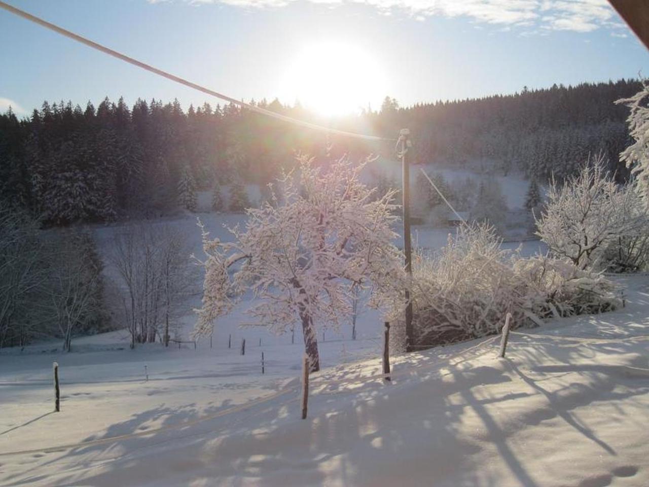 Sigmundenhof Apartment Schonach im Schwarzwald Luaran gambar